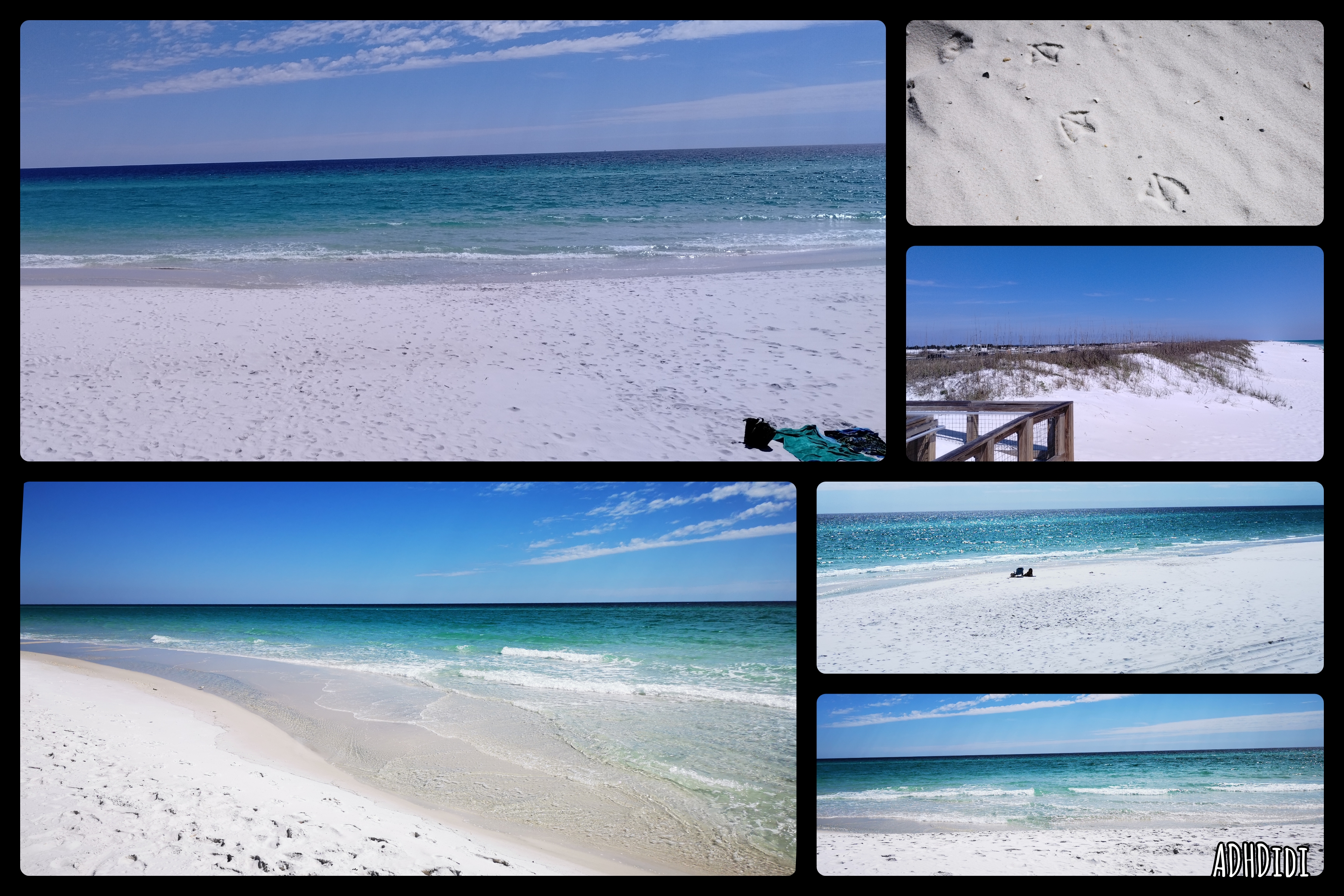 Collage of six pictures. The Atlantic ocean seen from Pensacola Beach. The water has various shades of green, blue, turquoise. The sand is pristine white. One of the pictures shows pelican footprints in the sand.