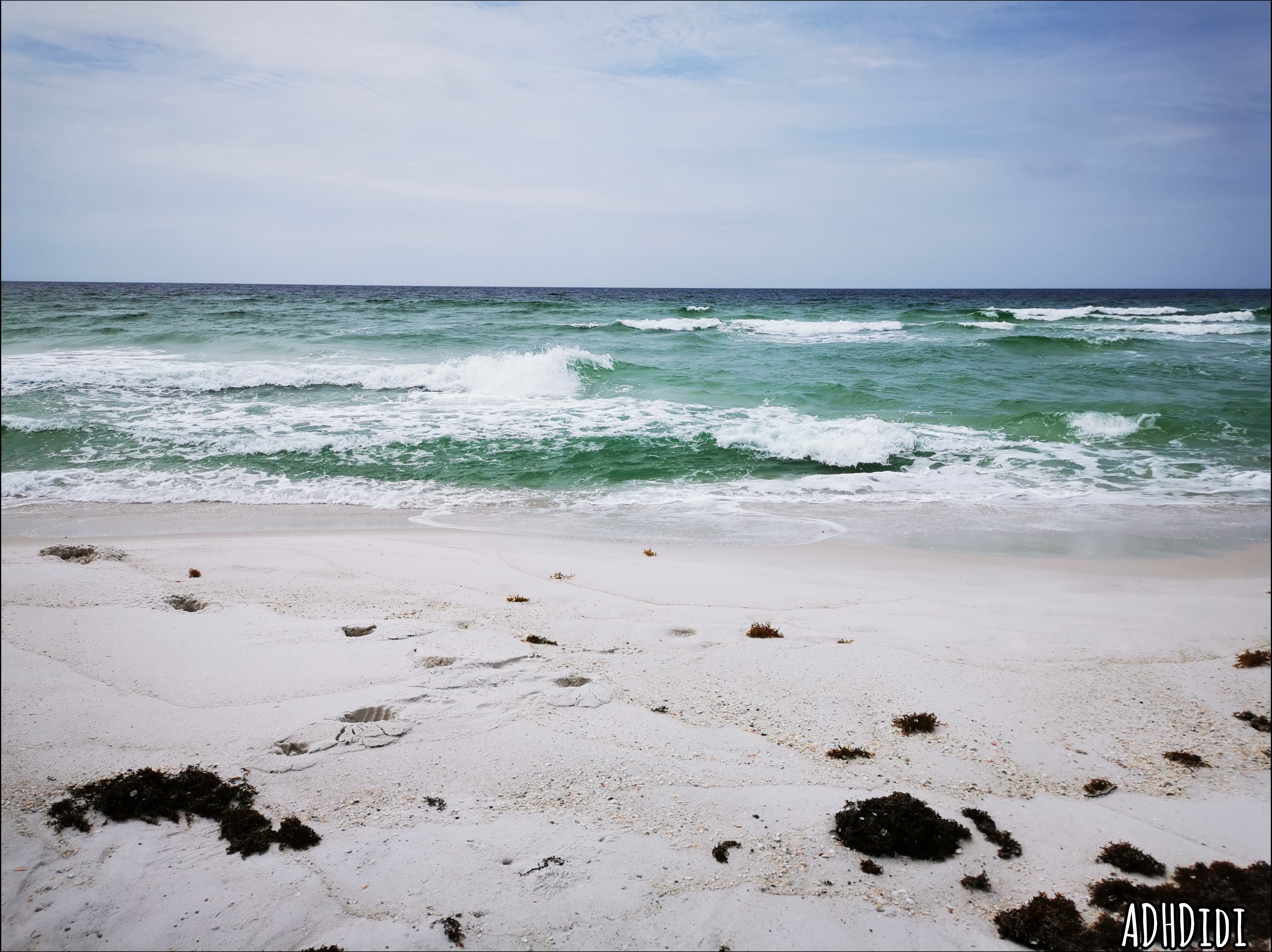 Picture of the Atlantic ocean seen from Pensacola Beach. The sky is mostly grey, the water an intense emerald green with very dark blue in the deepest part. The sand is white with some seashells and dark brown seaweed dotted around.