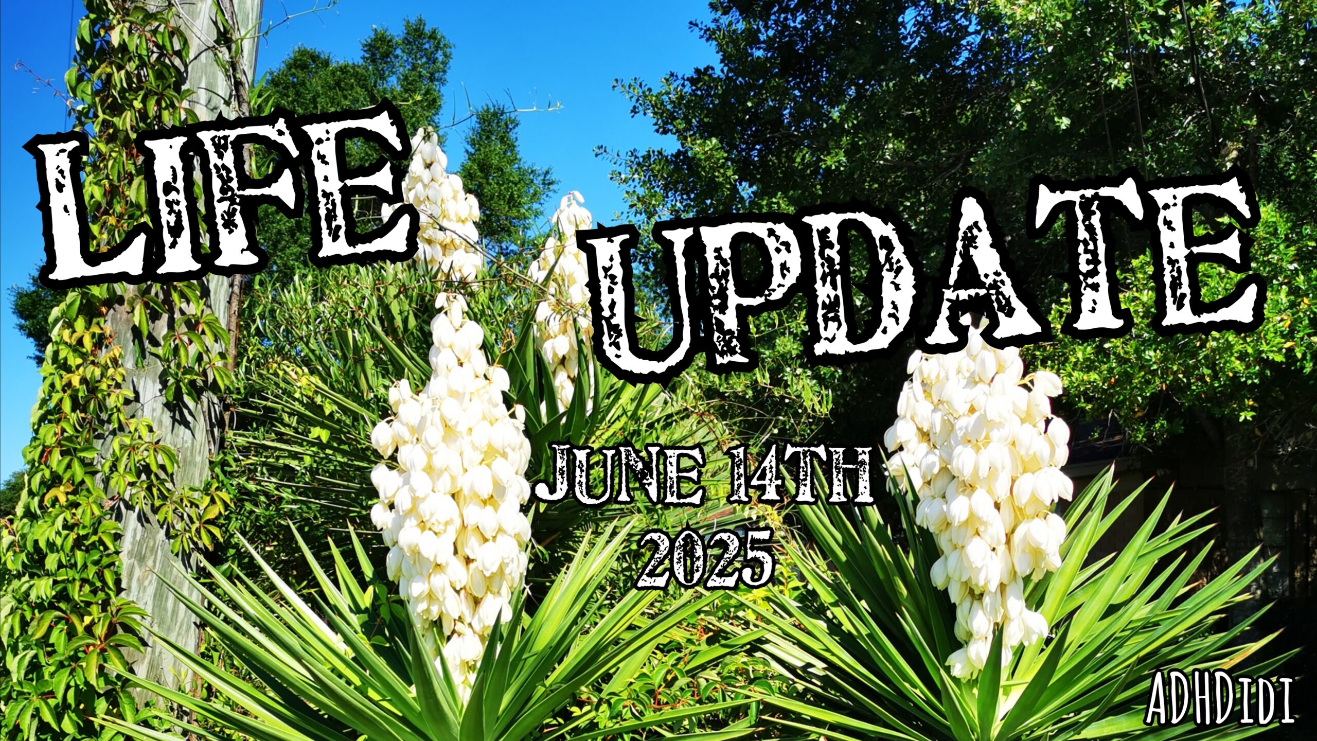 Picture of several Yucca plants in full bloom, with an overgrown utility pole next to it, green trees and blue skies in the background. Text says "Life Update June 14th 2025".