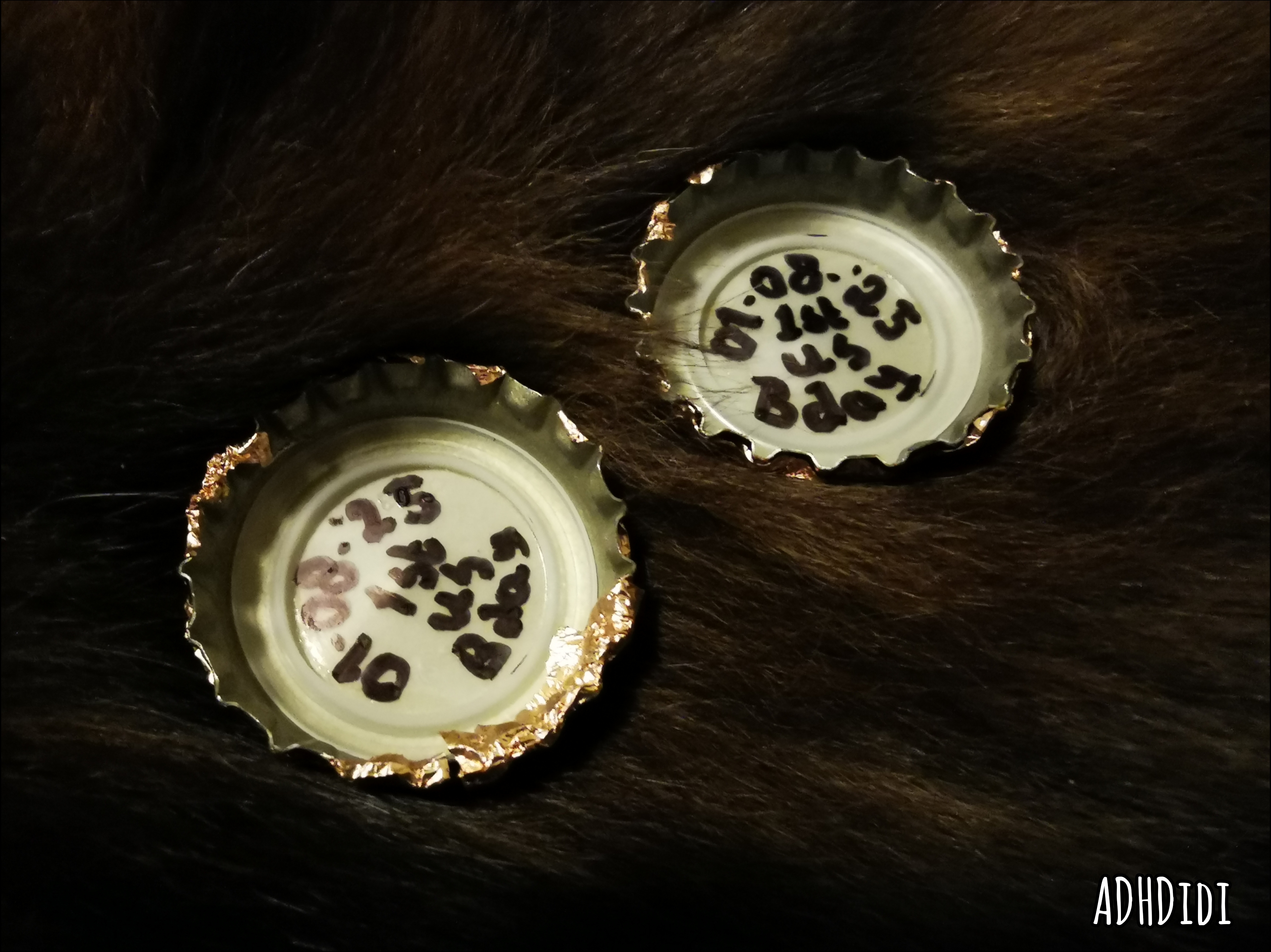 Picture of two upside-down bottle caps. On them is written in black sharpie: 01-08-25 1st US Bday. They're laying on something very fluffy that suspiciously seems to have a tabby pattern…