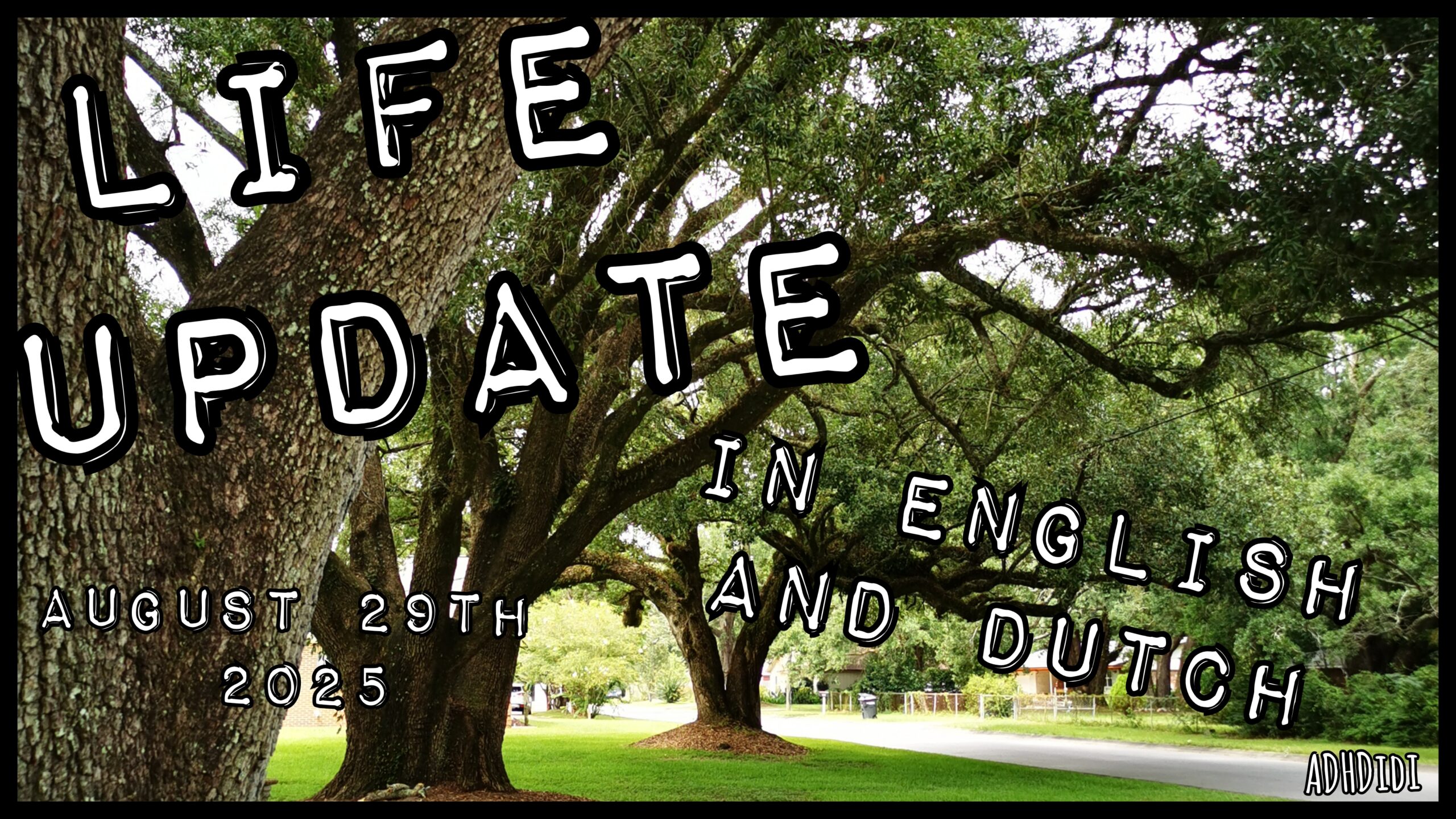 Picture of a row of live oak trees on bright green, freshly cut grass. Some houses and a concrete road barely visible between the big branches and dense foliage. In print, it says: Life Update, August 29th 2025, in English and Dutch.