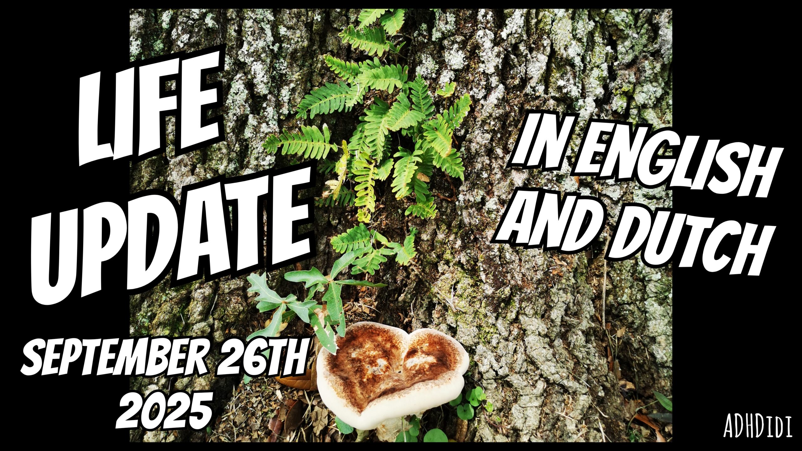 Cover image for Life Update September 26th 2025 blog post.