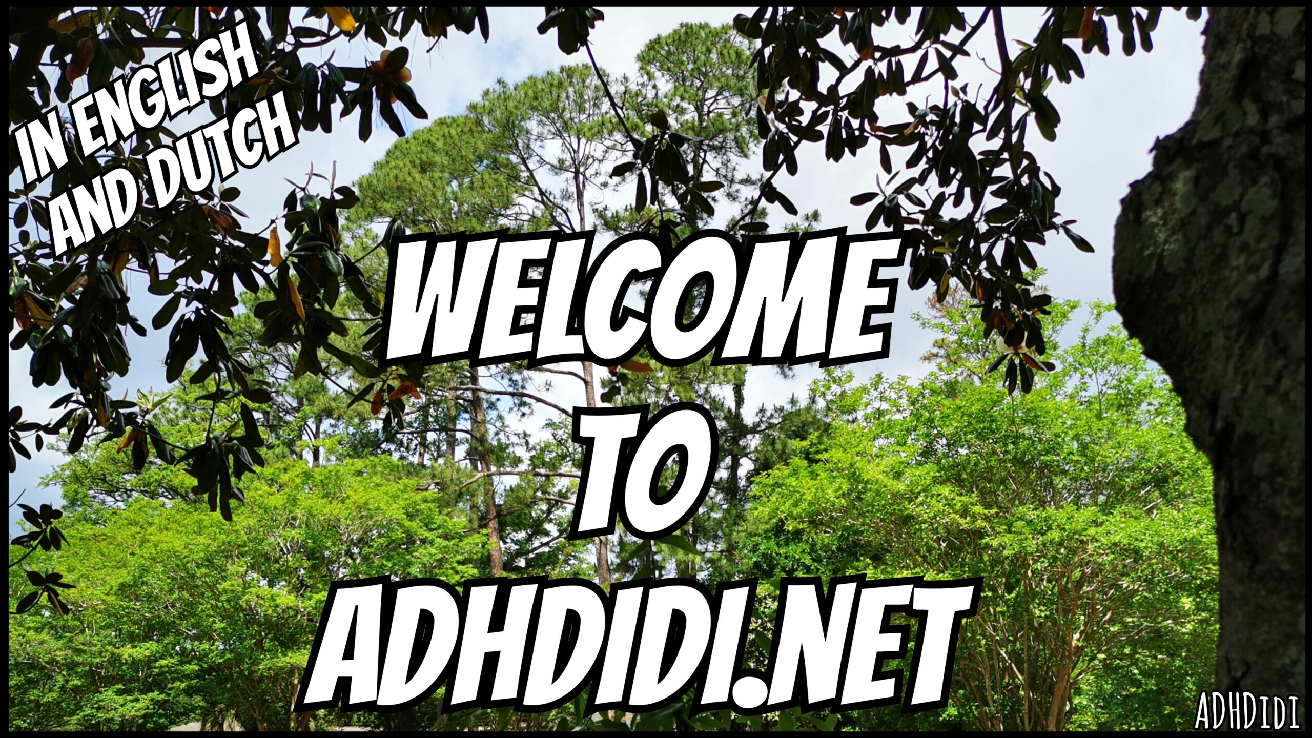Cover image for Welcome to ADHDidi.net blog post.